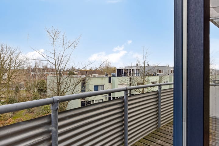 Photo 26 of Gangboord 100