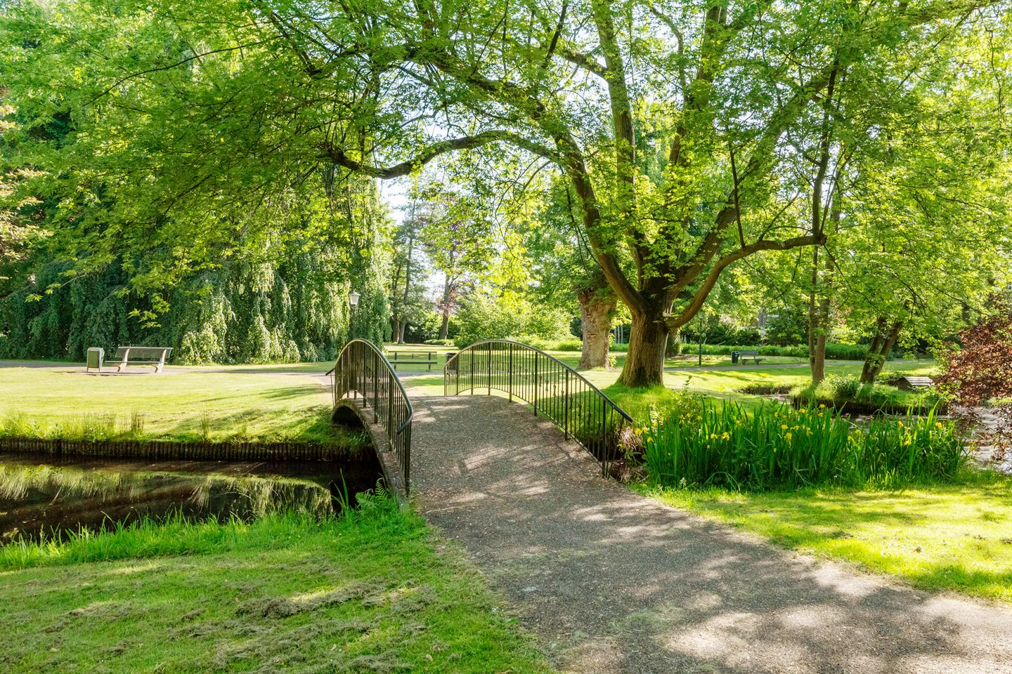 Foto 29 van Mr. van Coothstraat 68-G