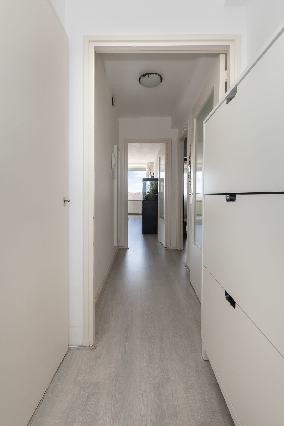 Photo 8 of Coornhertstraat 105