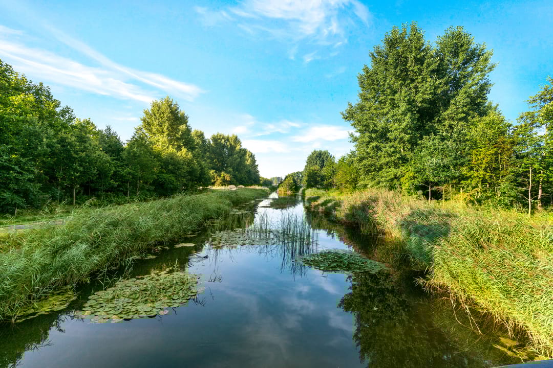 Foto 46 van Verlengde Utrechtseweg 113