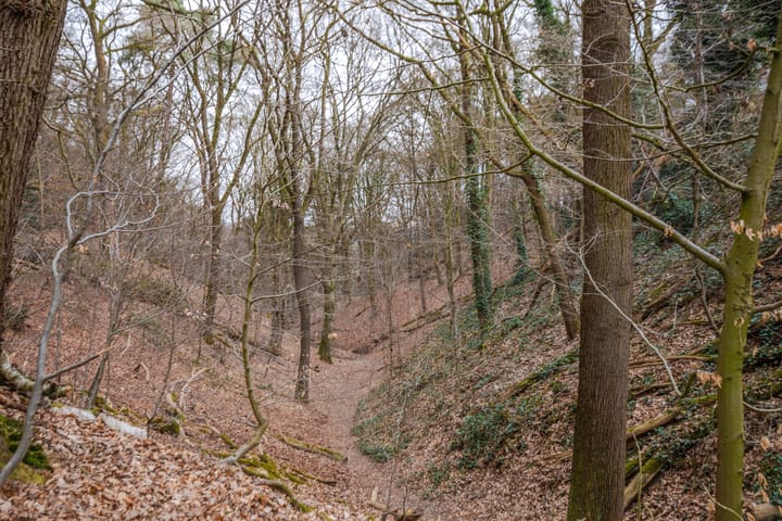 Photo 5 of Stollenbergweg 104