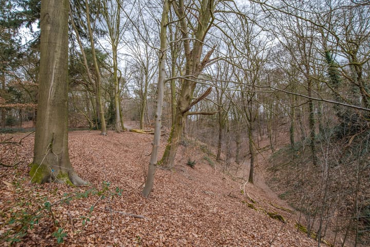 Photo 30 of Stollenbergweg 104