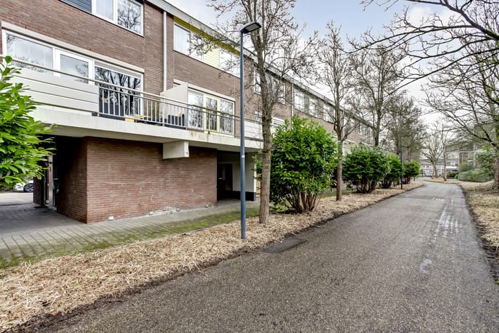 Photo 43 of Boogschutter 84