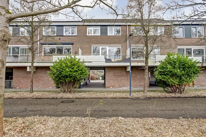 Photo 44 of Boogschutter 84