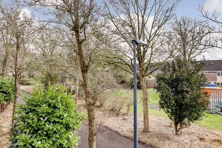 Photo 45 of Boogschutter 84