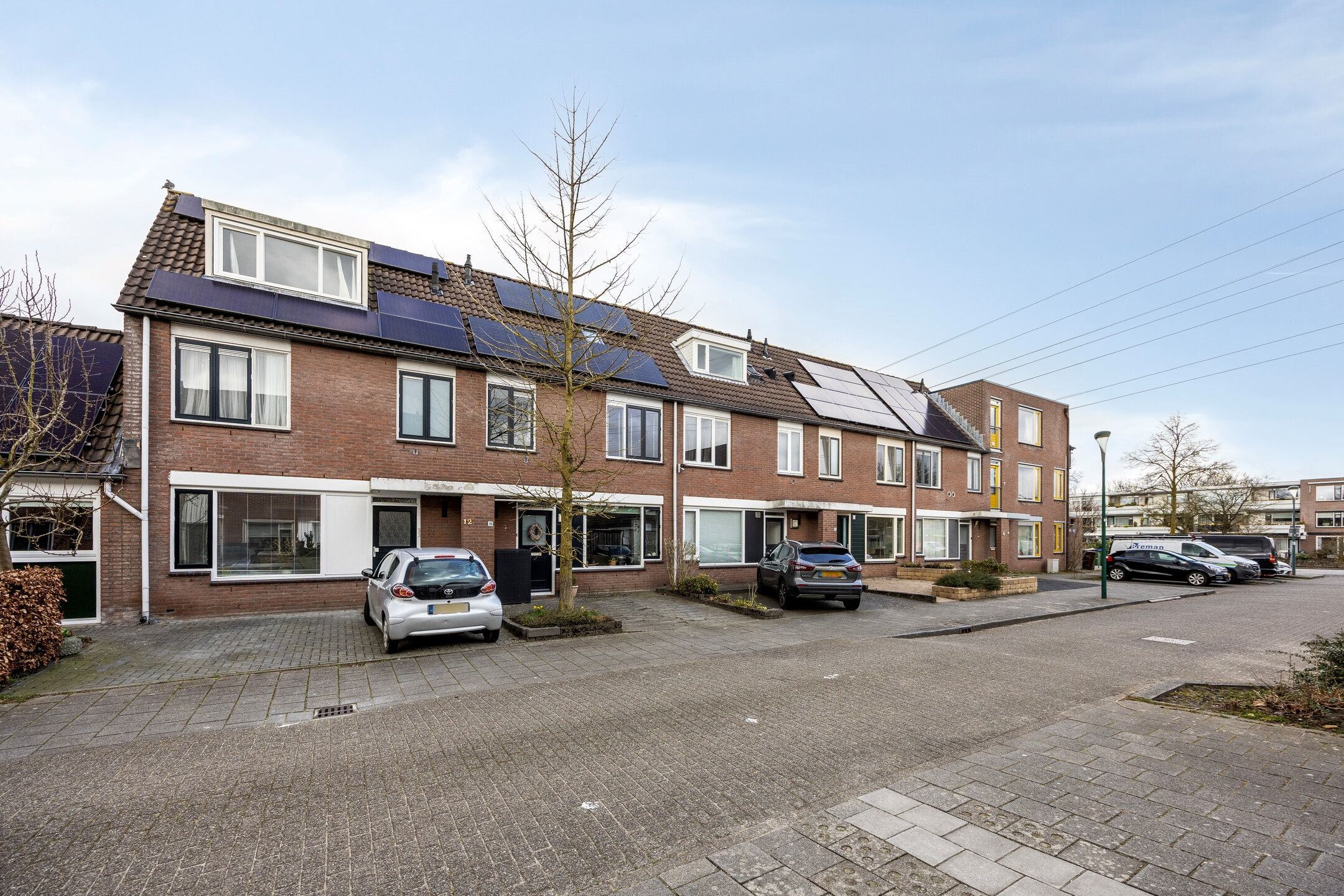 Foto 6 van Zebravink 10