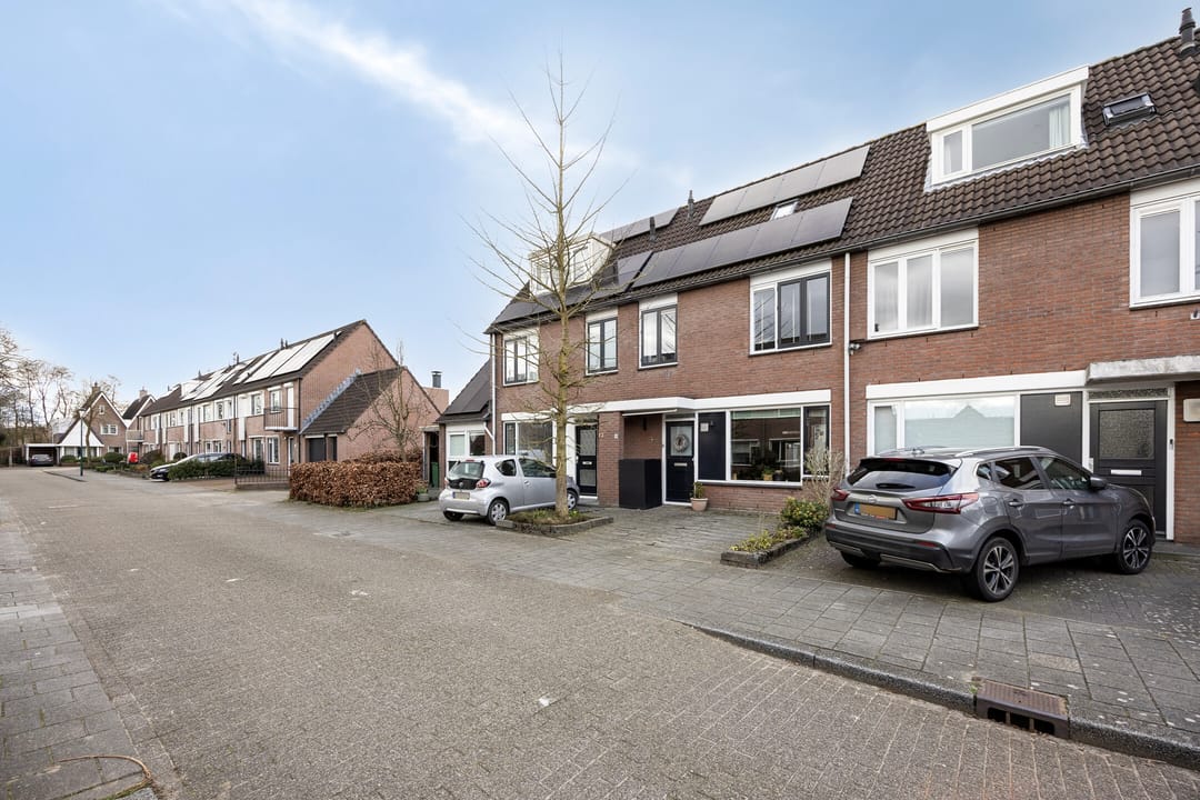 Foto 7 van Zebravink 10