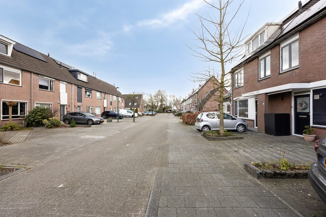 Foto 38 van Zebravink 10