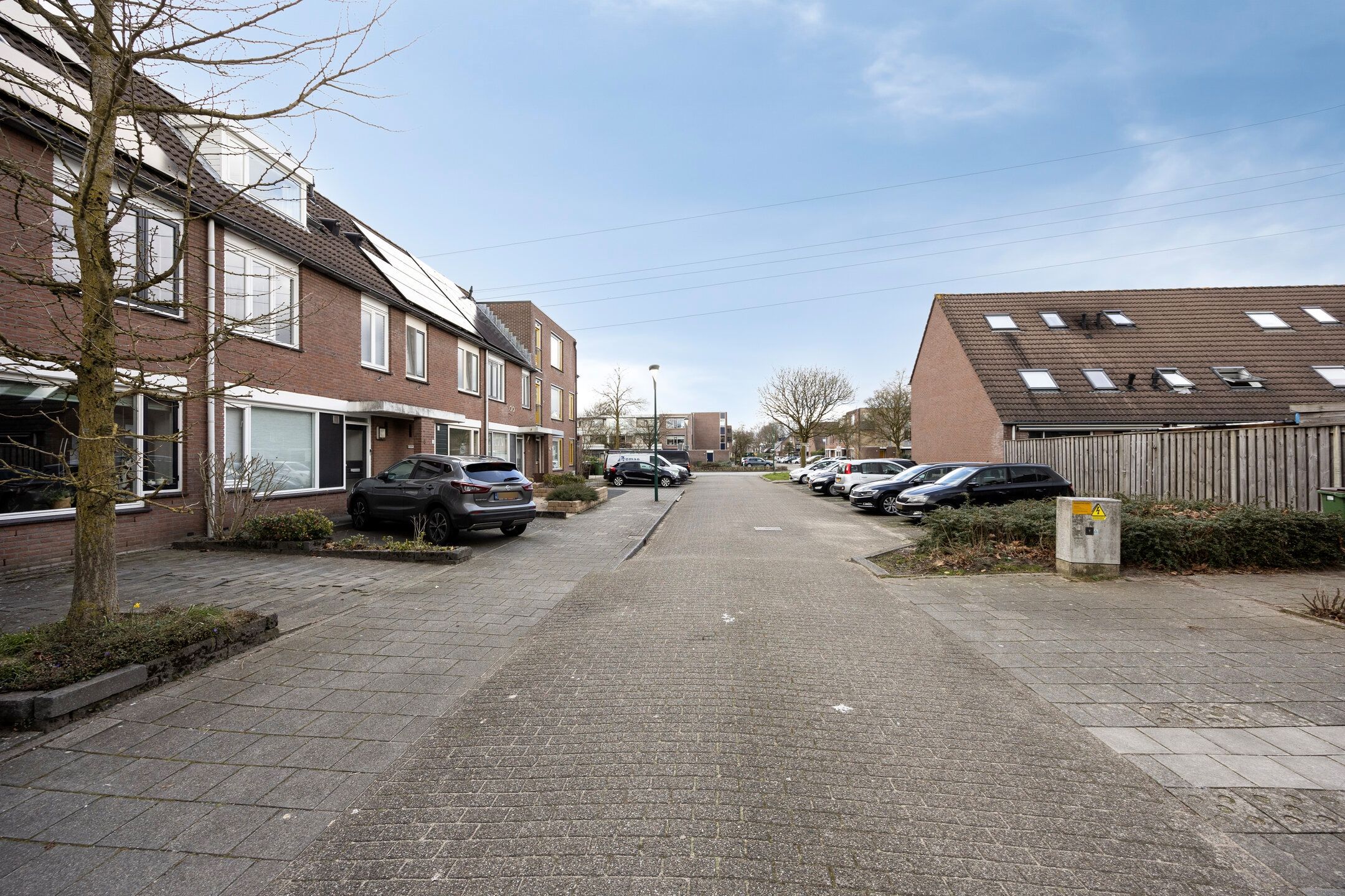 Foto 39 van Zebravink 10