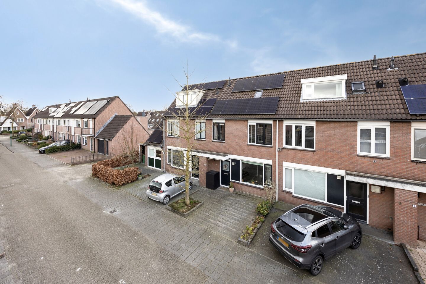 Foto 40 van Zebravink 10