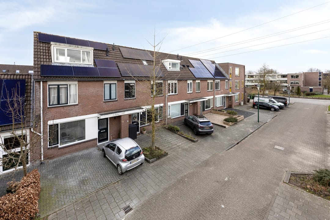 Foto 41 van Zebravink 10