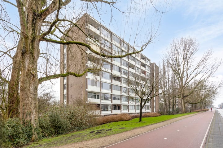 Populierenlaan 273