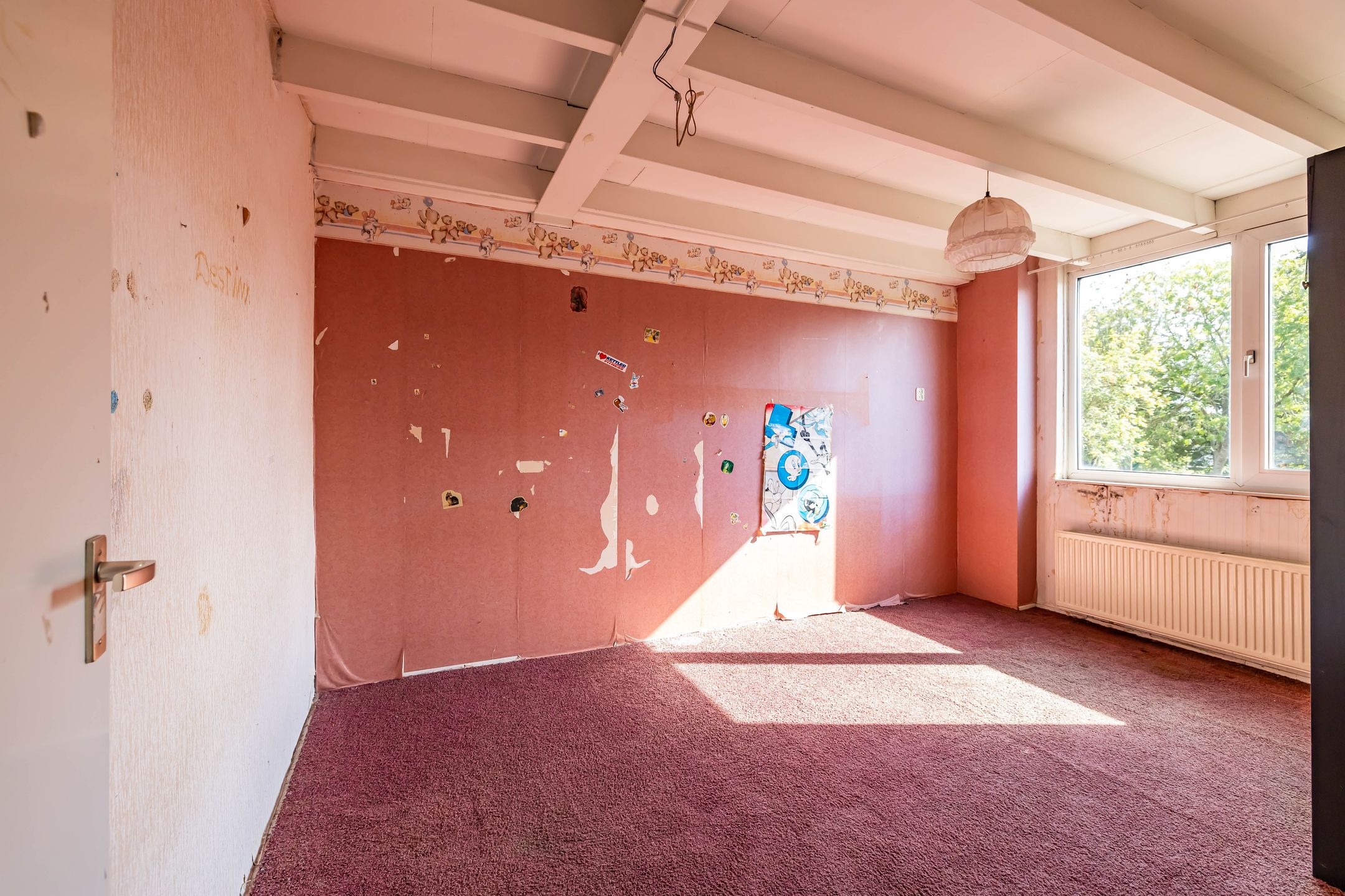 Foto 45 van Emingaheerd 43