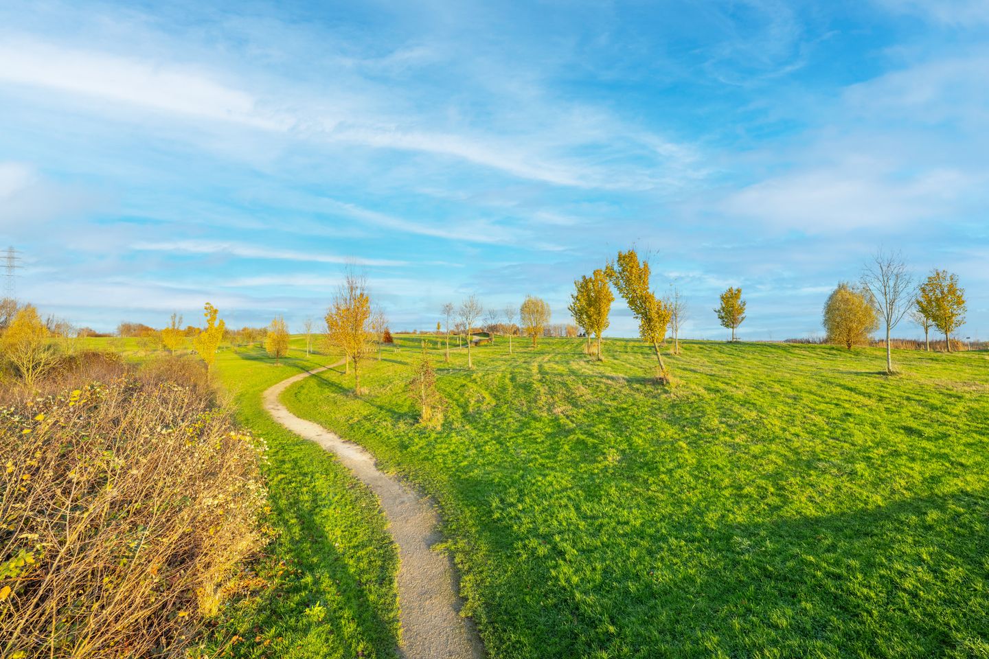 Foto 4 van Vijverlaan 46