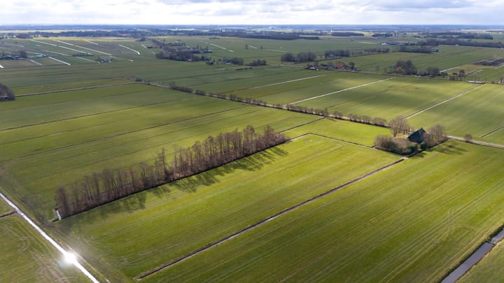 Photo 5 of Griene Dyk 5