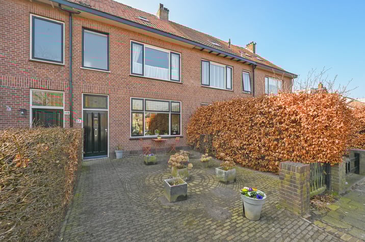 undefined main image
