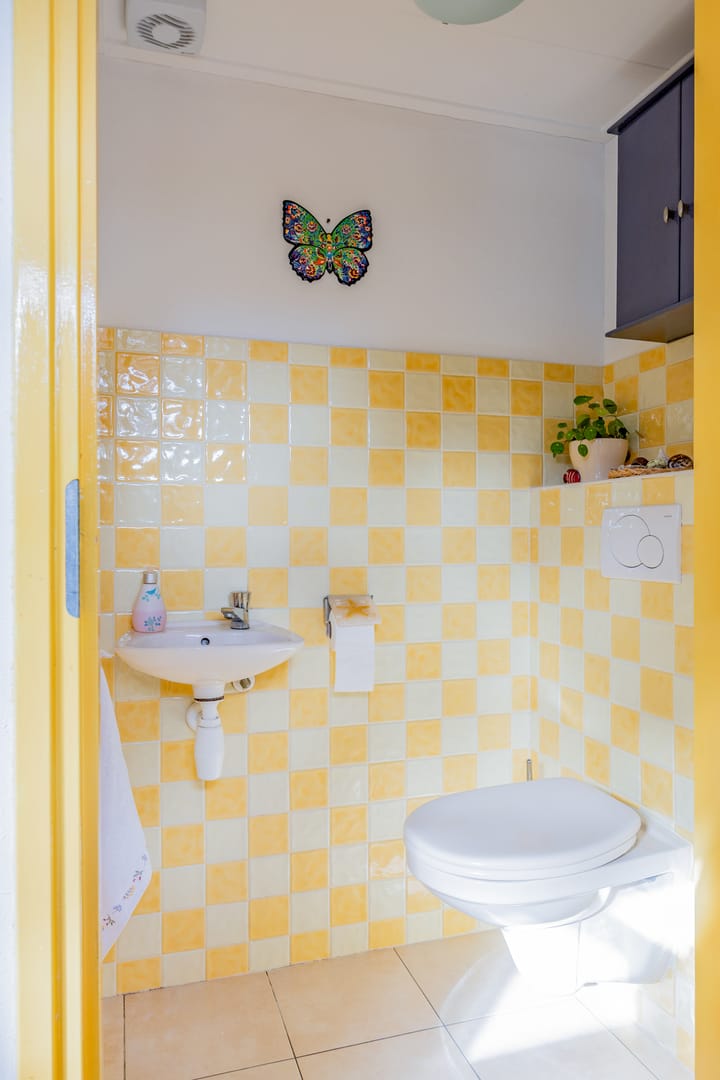 Photo 21 of Meynemaheem 12