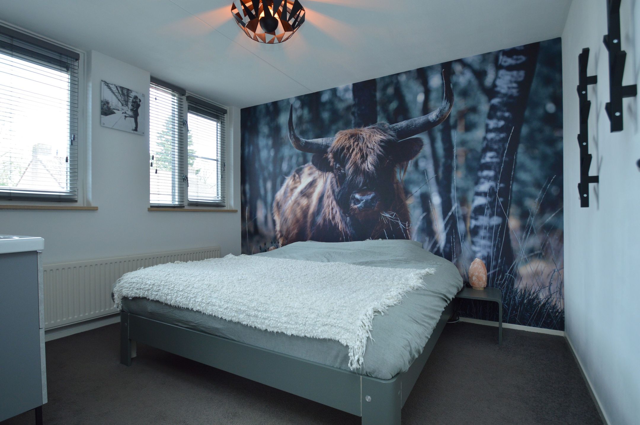 Foto 18 van Felicitéstraat 28