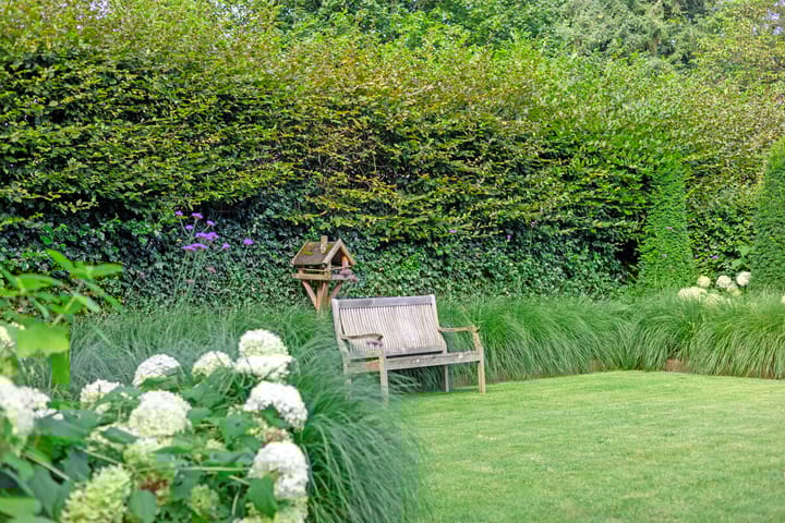 Foto 49 van F.A. Molijnlaan 51