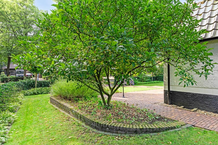 Foto 53 van F.A. Molijnlaan 51