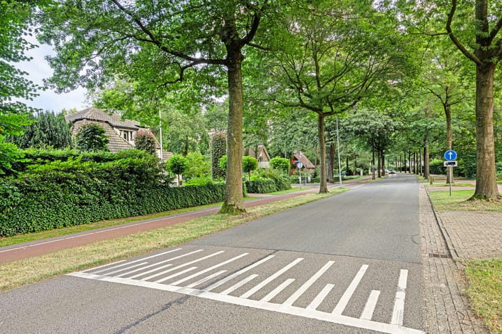 Foto 60 van F.A. Molijnlaan 51