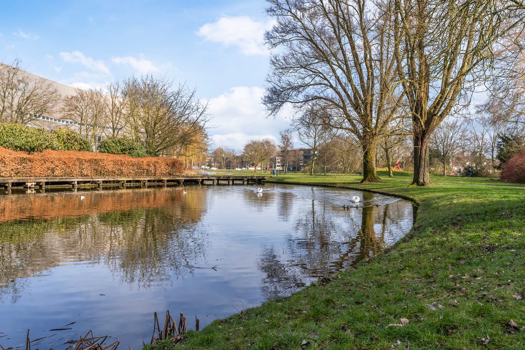 Foto 37 van van Beverwijckstraat 17