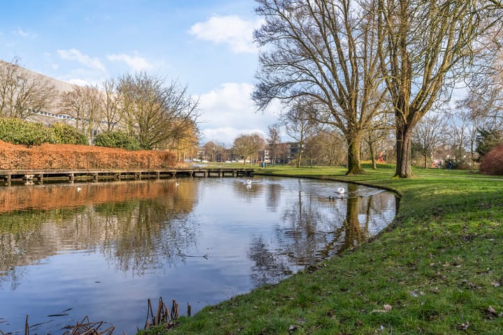 Foto 37 van van Beverwijckstraat 17