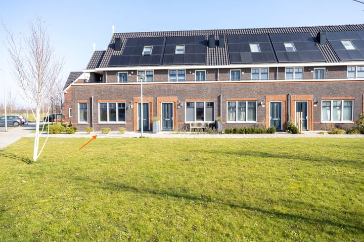 Foto 3 van Piet Kramerzoom 111