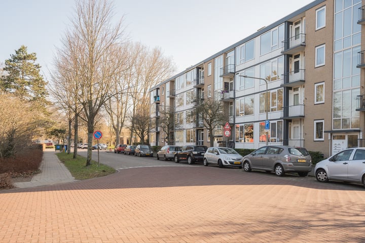 Foto 1 van Burmanlaan 140