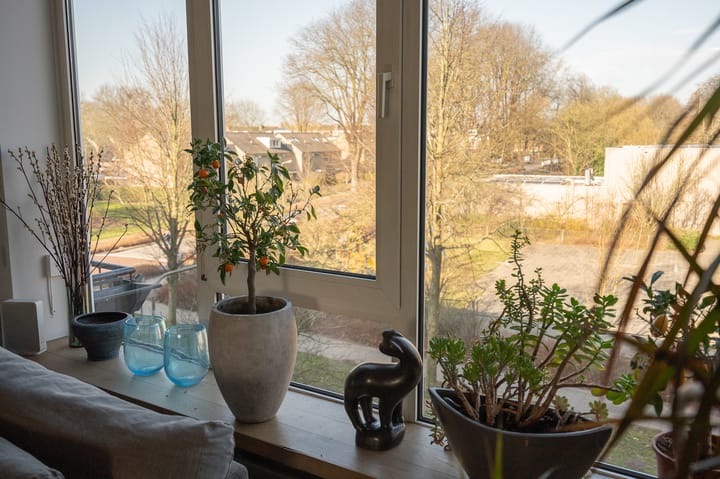 Foto 9 van Burmanlaan 140