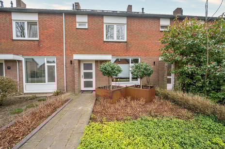 undefined main image