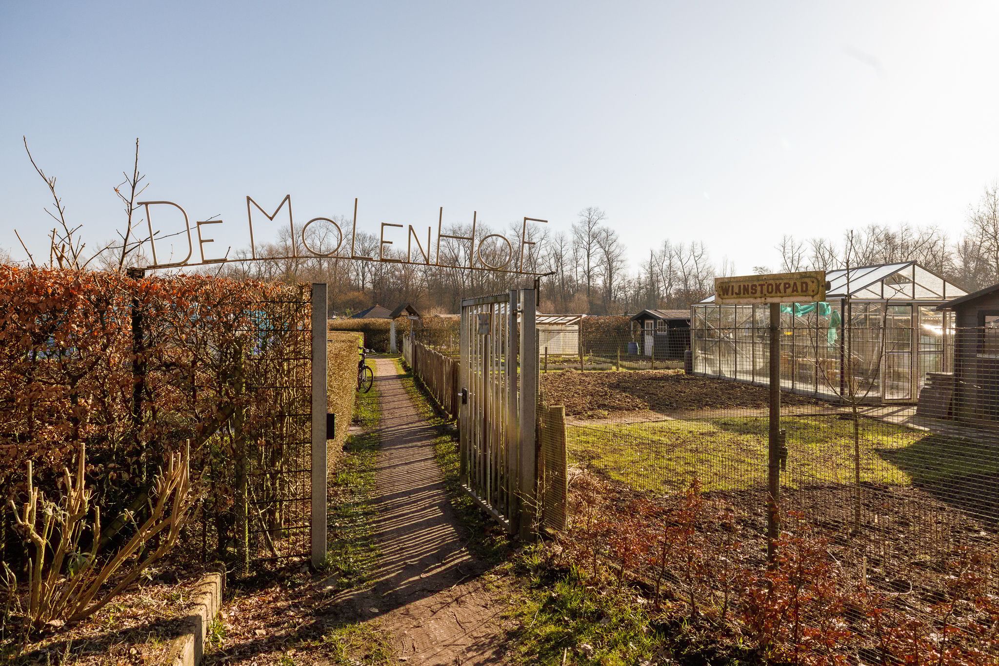 Foto 36 van Esschebaan 152