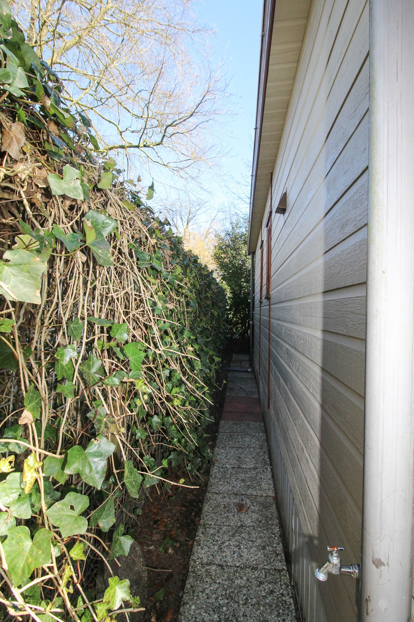 Foto 29 van Kieftveen 18-325