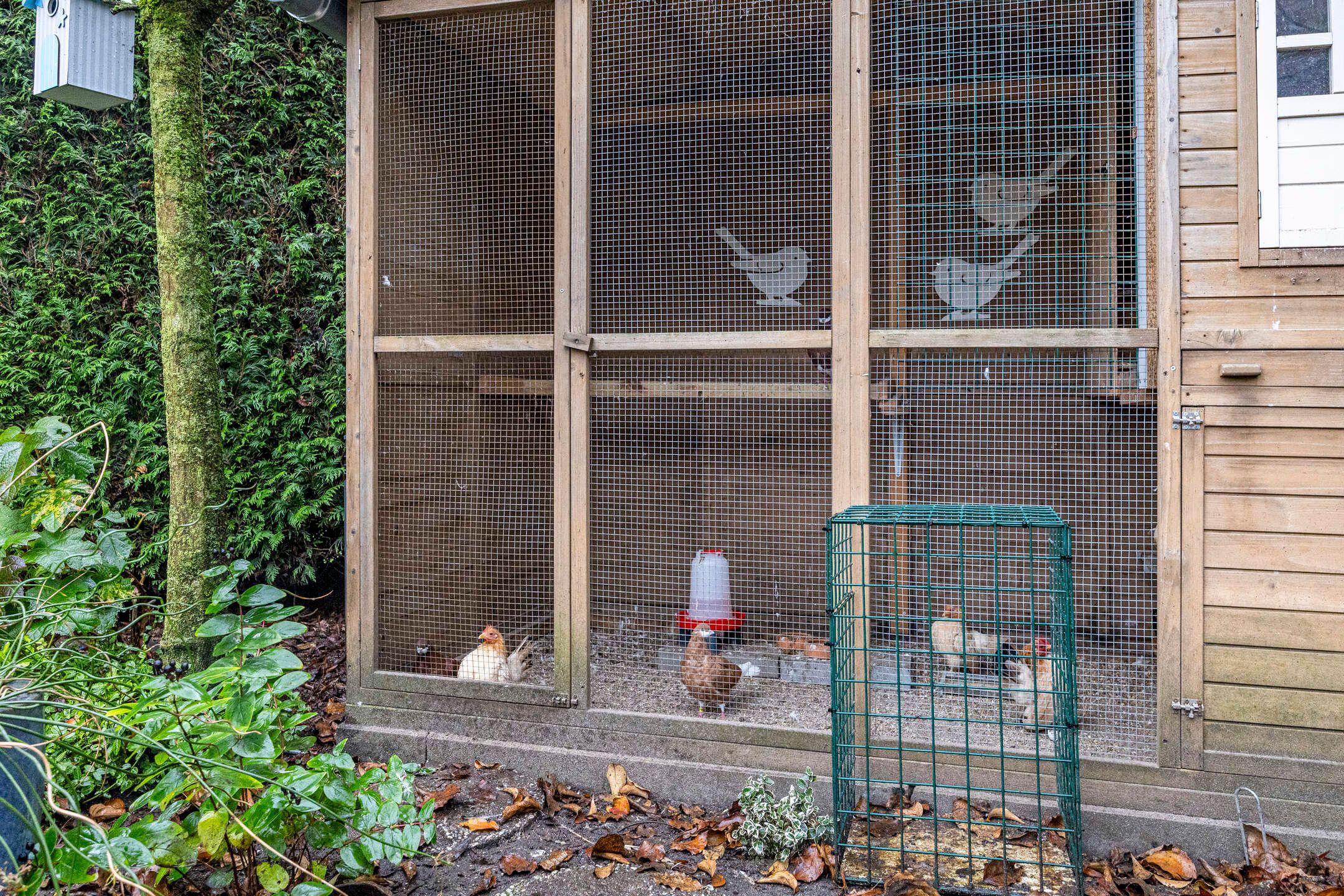 Photo 27 of Veulenweide 4