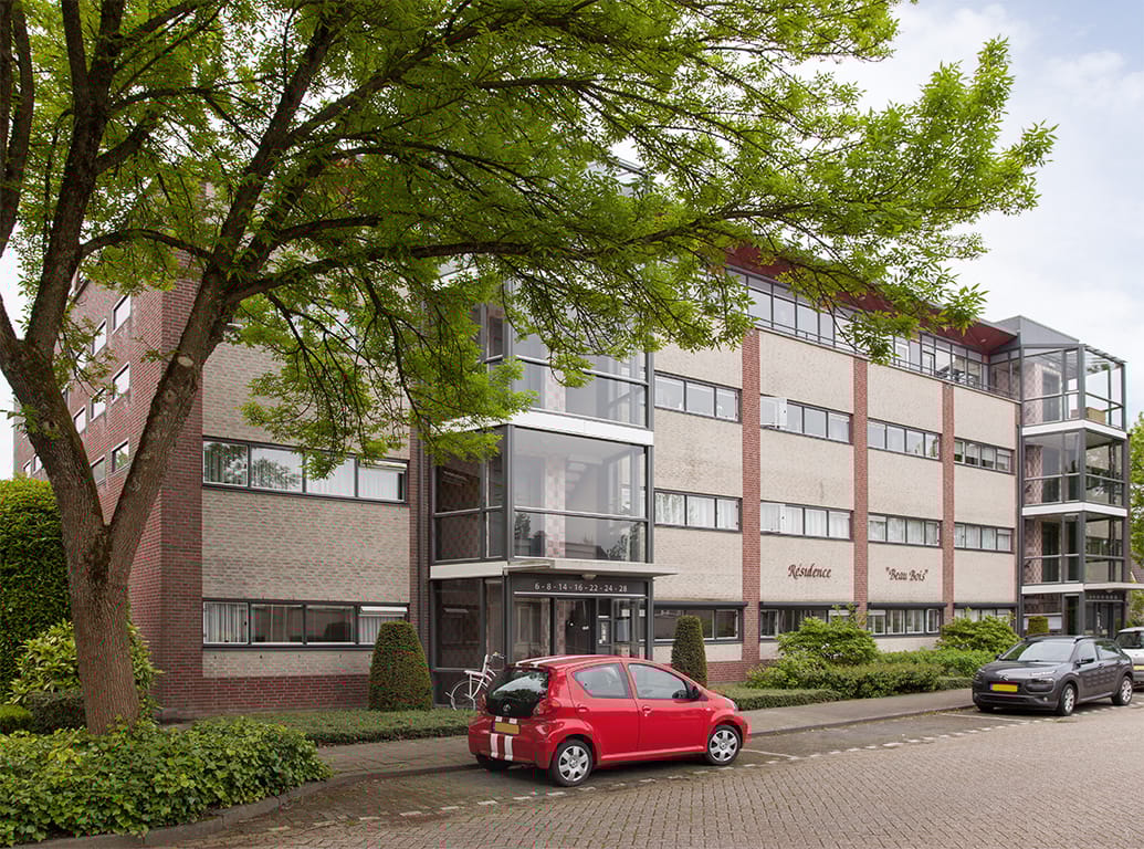 Foto 1 van Aalscholver 6