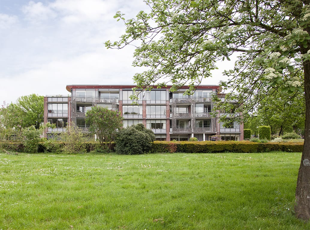 Foto 3 van Aalscholver 6