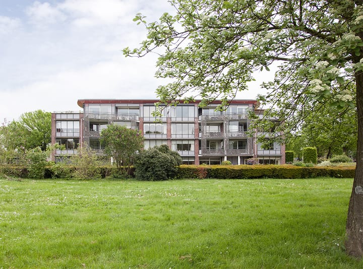 Foto 3 van Aalscholver 6