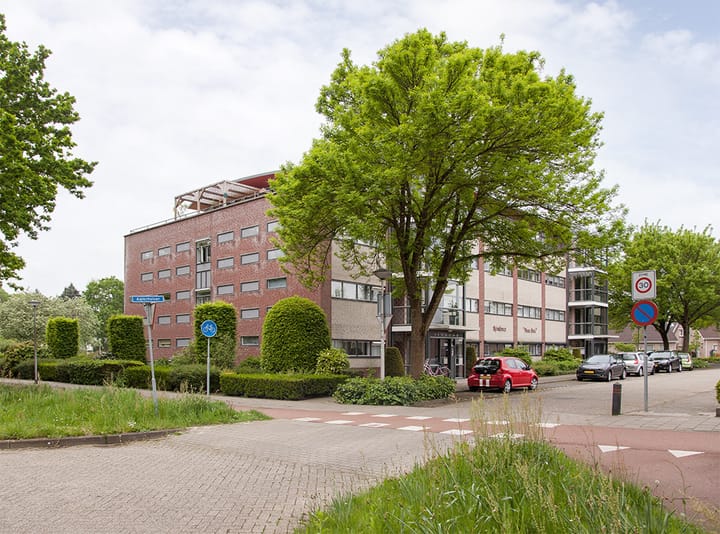 Foto 4 van Aalscholver 6