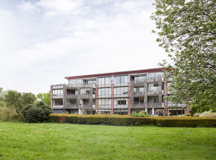 Foto 5 van Aalscholver 6