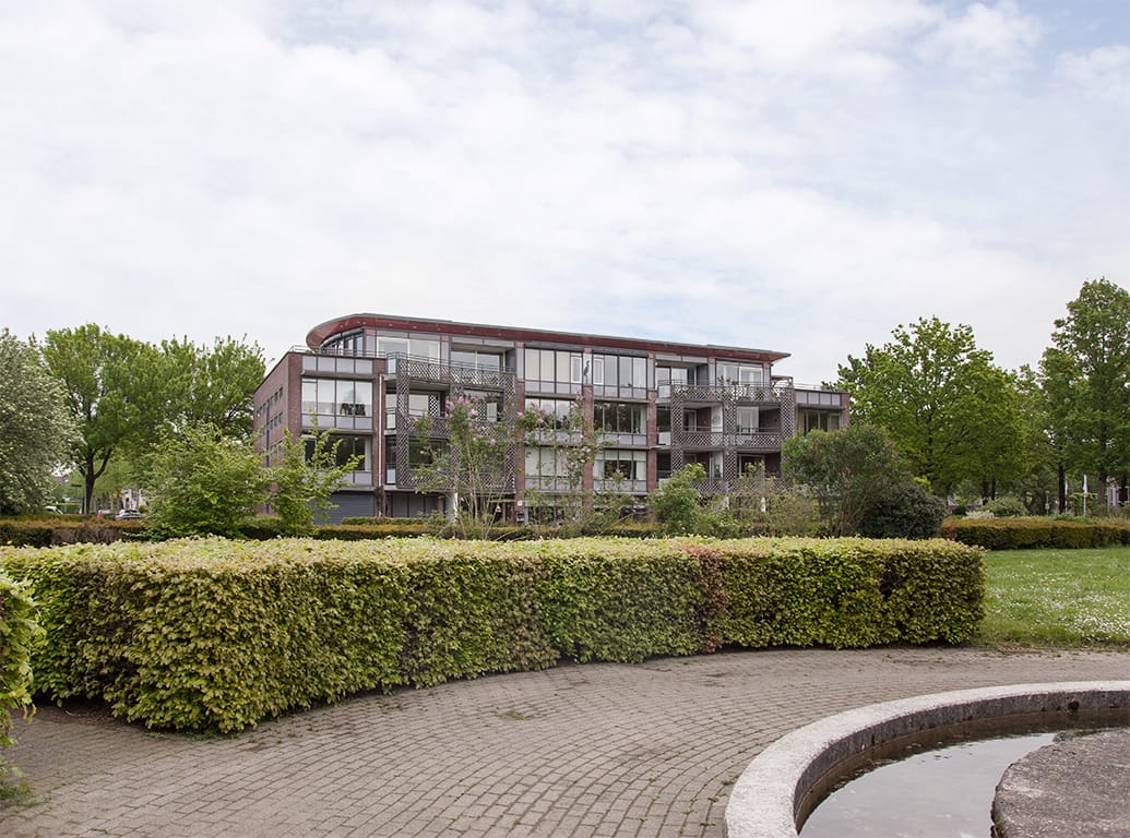 Foto 6 van Aalscholver 6