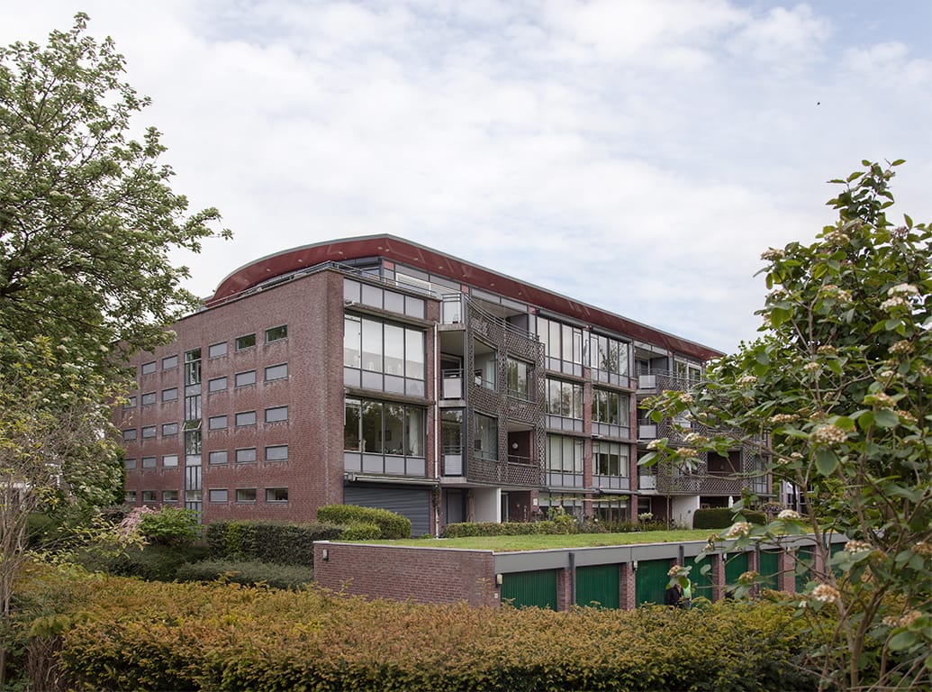 Foto 7 van Aalscholver 6