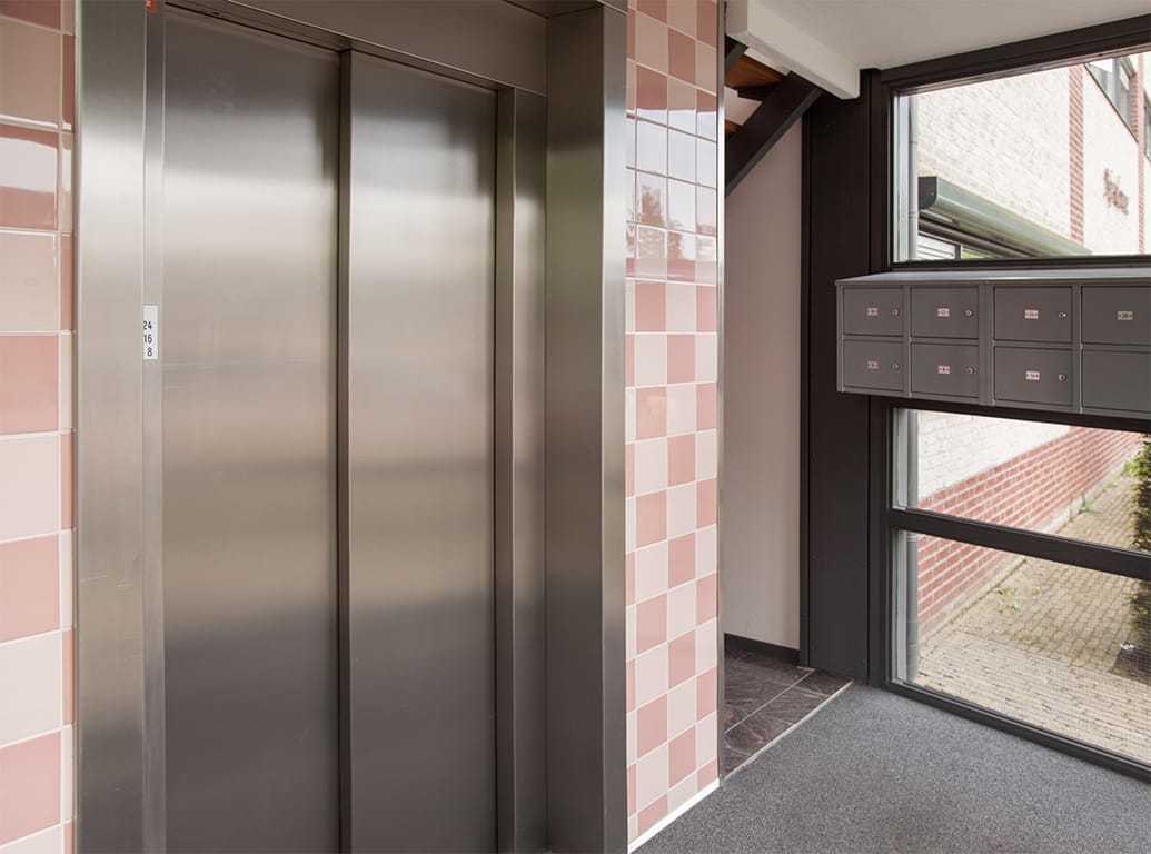 Foto 9 van Aalscholver 6