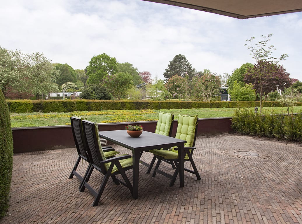 Foto 2 van Aalscholver 6