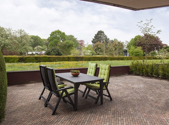 Foto 2 van Aalscholver 6