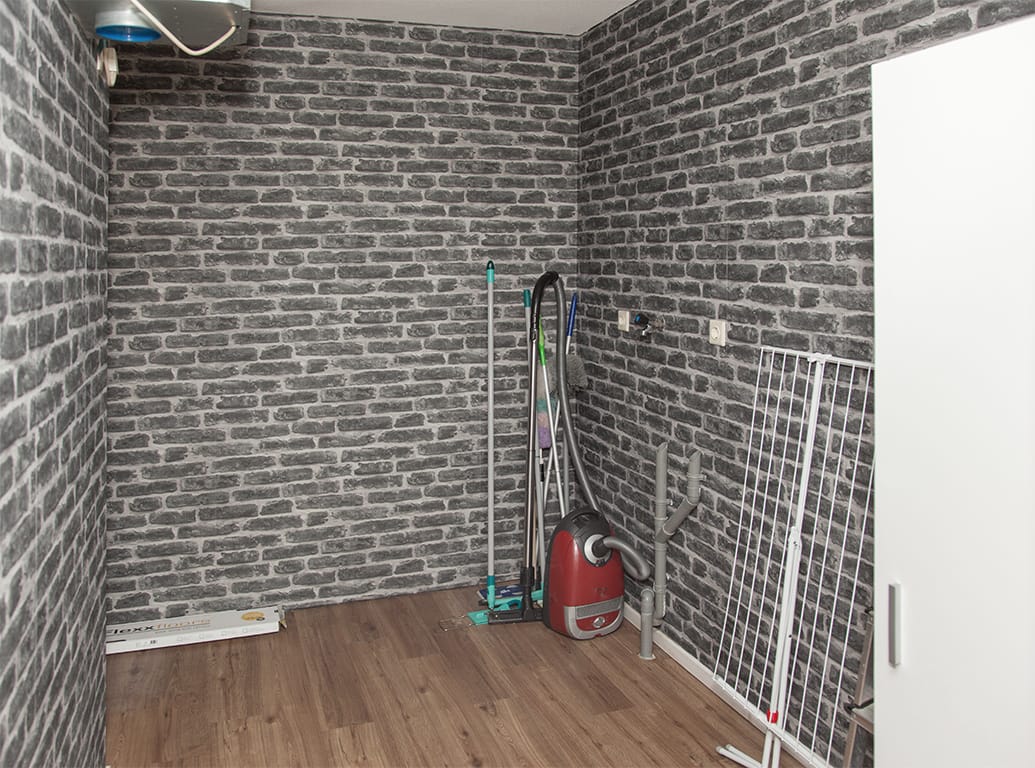 Foto 40 van Aalscholver 6