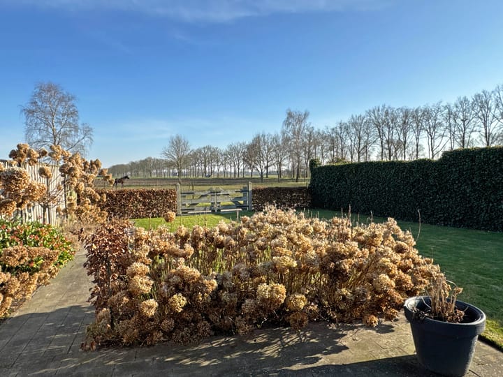 Foto 12 van Pastoor Slosserstraat 49