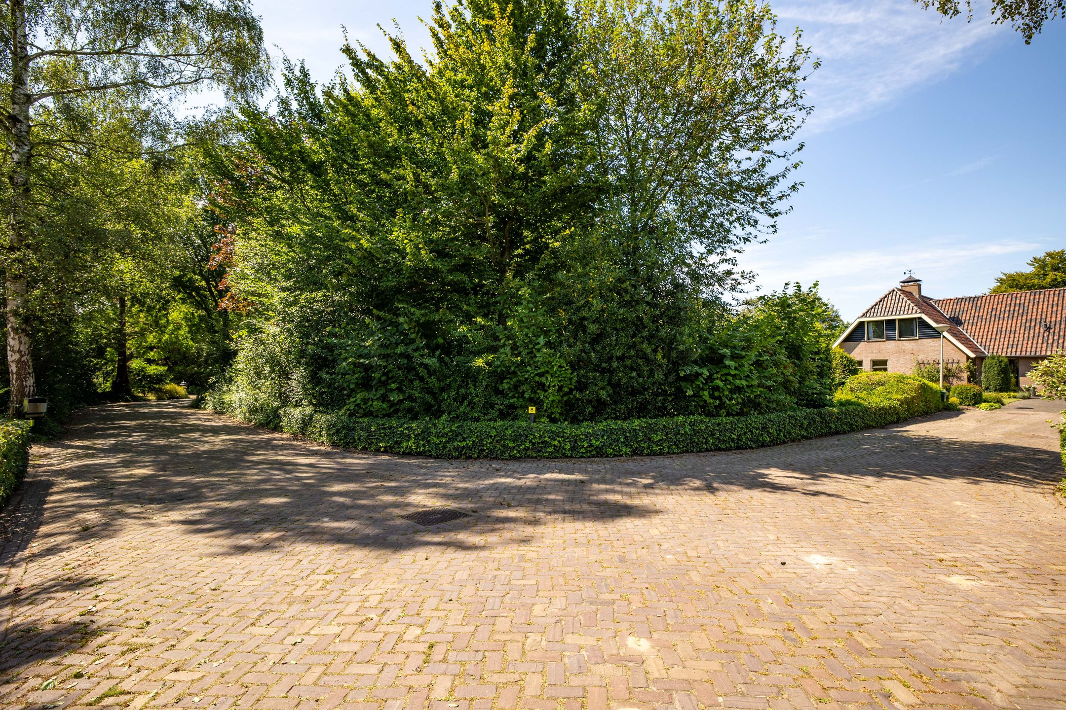 Foto 60 van Jan Westerhuisstraat 8