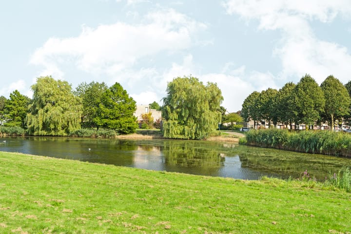 Foto 43 van Jacob van Maerlantstraat 14