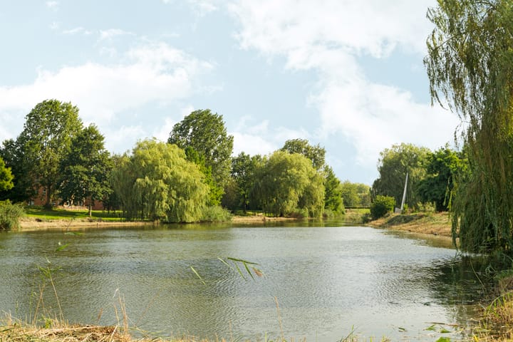 Foto 44 van Jacob van Maerlantstraat 14