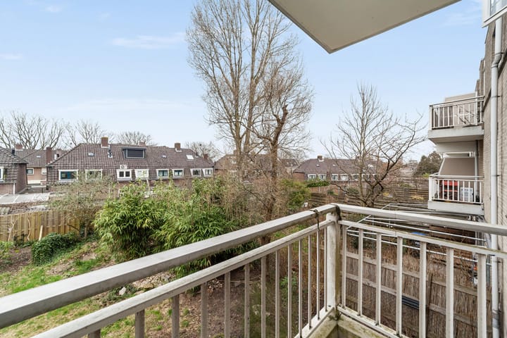 Foto 2 van Ridderspoor 23